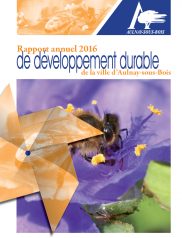 Rapport Annuel de Développement Durable 2016