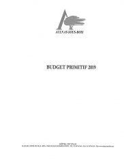 Budget Primitif 2019