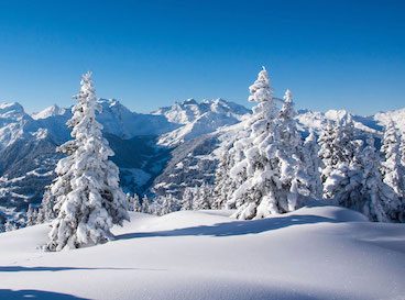 Séjour hiver 2024
