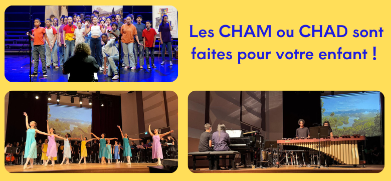 carrousel crd cham chad