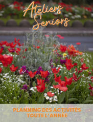 Ateliers seniors - Planning annuel