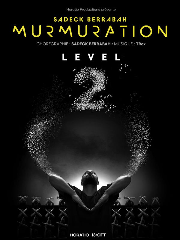 19_Murmuration