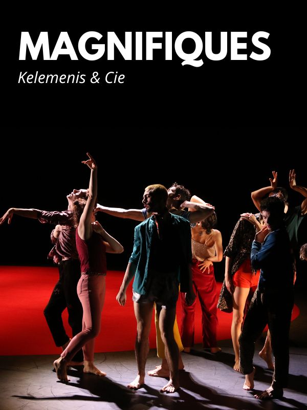 25_Magnifiques